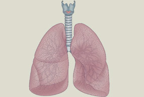 Bronchoconstriction