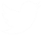 Twitter icon